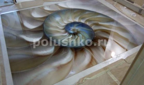 3d полы с ракушкой в Севастополе
